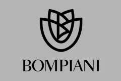 Collaborazione di Domenico Liggeri con Bombpiani